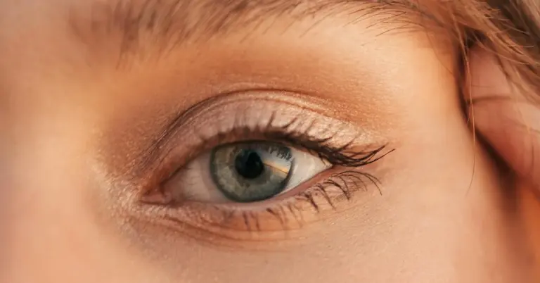 Close-up of an eye with a groomed eyebrow and subtle makeup, highlighting the brow area